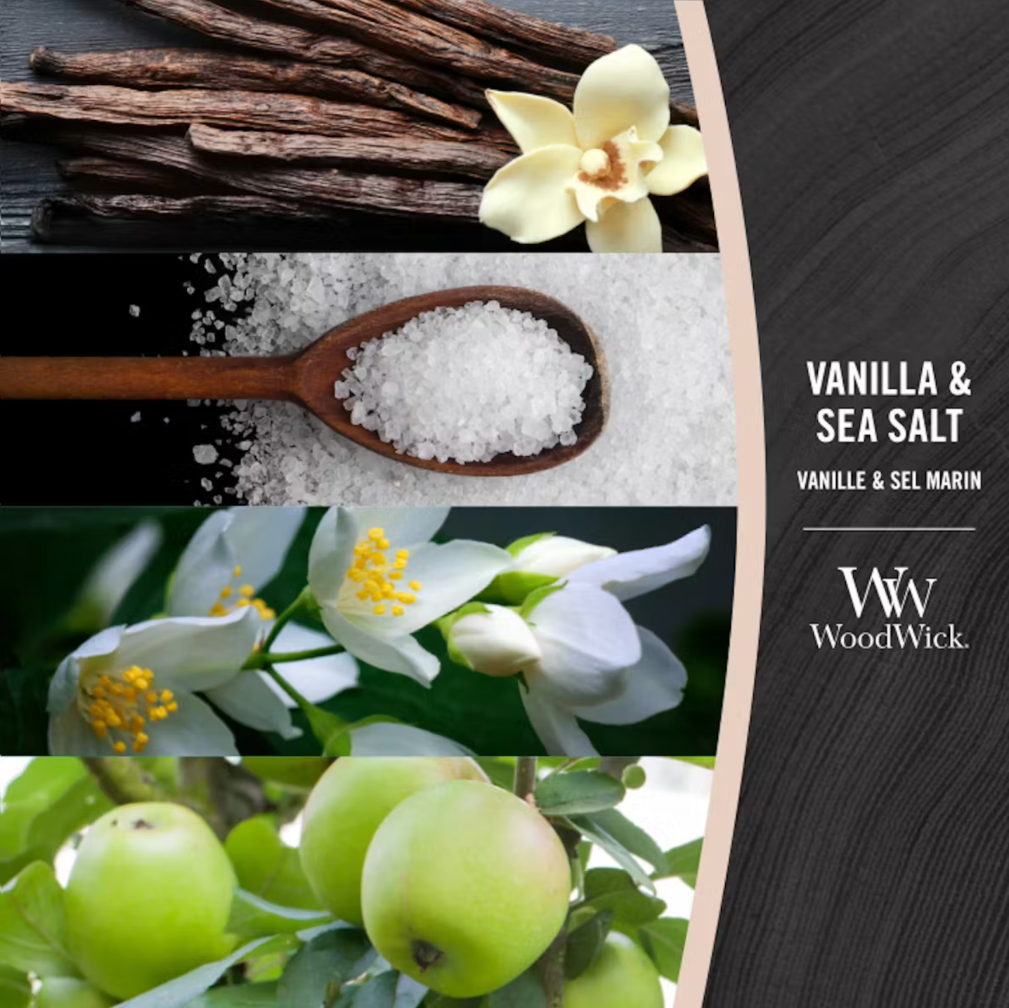 WoodWick Vanilla & Sea Salt