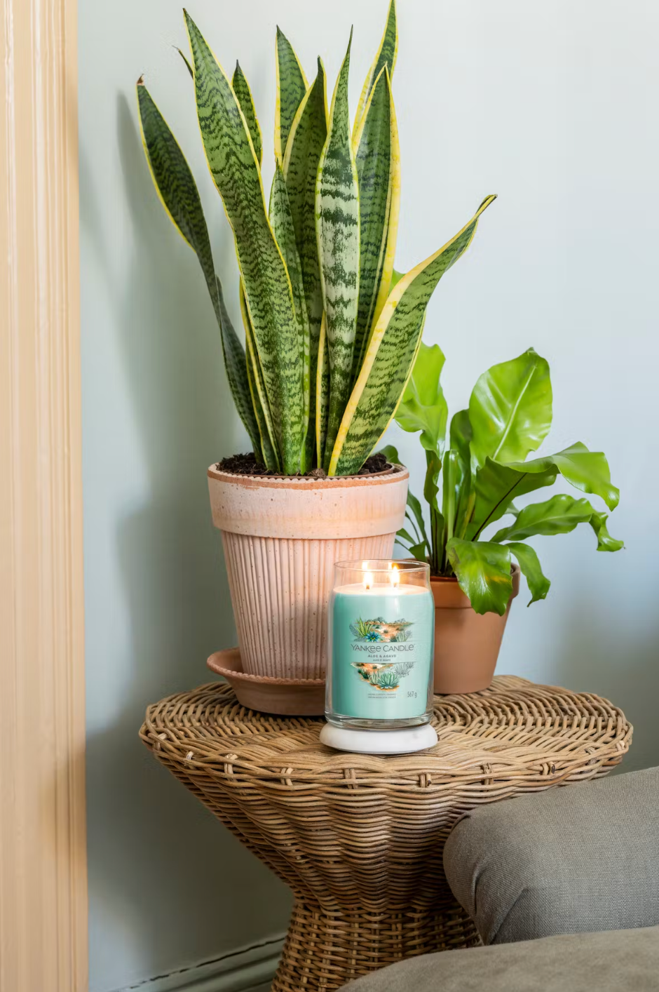 Candela Profumata Yankee Candle Signature Large Jar - Aloe & Agave 567 g 